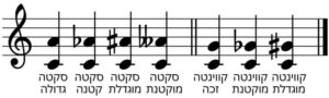 מרווחים גדולים, קטנים, מוגדלים, מוקטנים וזכים